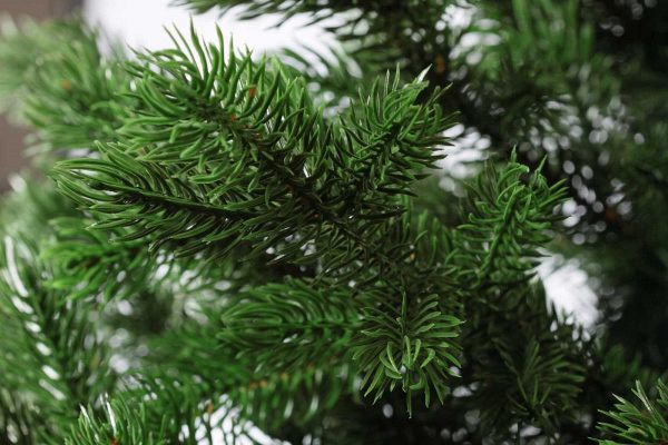 Елка "Астерия Премиум" 100% РЕ