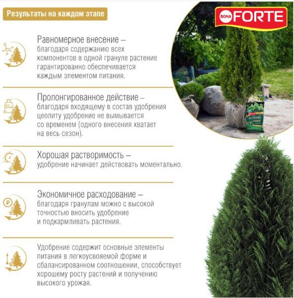 Bona Forte пролонгированное хвойное 2.5 кг