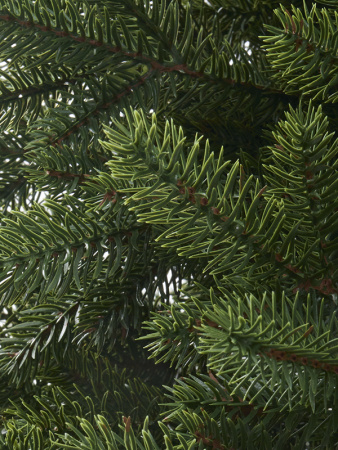 Елка "Шарлин" 100% РЕ