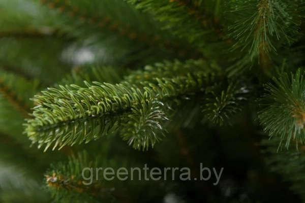 Елка "Натурелли"