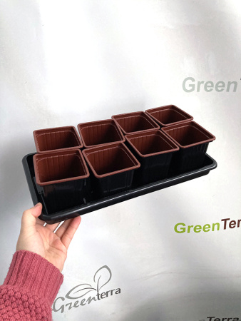 Набор для рассады: поддон + 8 горшков 8*8*8 [00256]