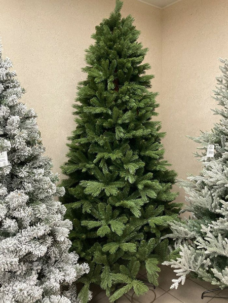 Сосна "Тундра"