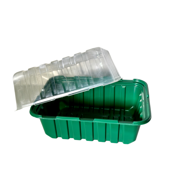 Минипарник с крышкой и кассетой на 6 ячеек