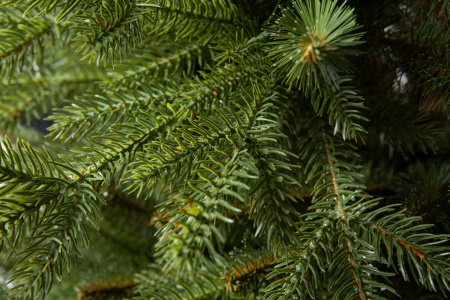 Елка "Аляска" Слим