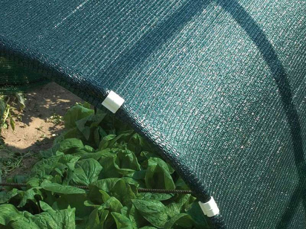 Затеняющая сетка 3х50м 80 (затенение 80%)