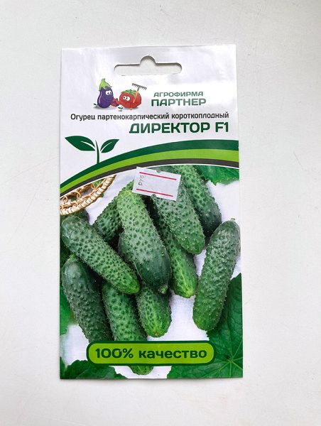 Огурец партенокарпический Директор F1