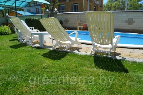 Комплект пляжные, садовые шезлонги [150-0007]