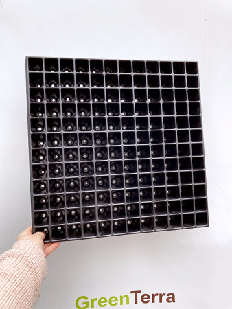 Кассета для рассады 144 ячейки (144-Ф), 20мл 