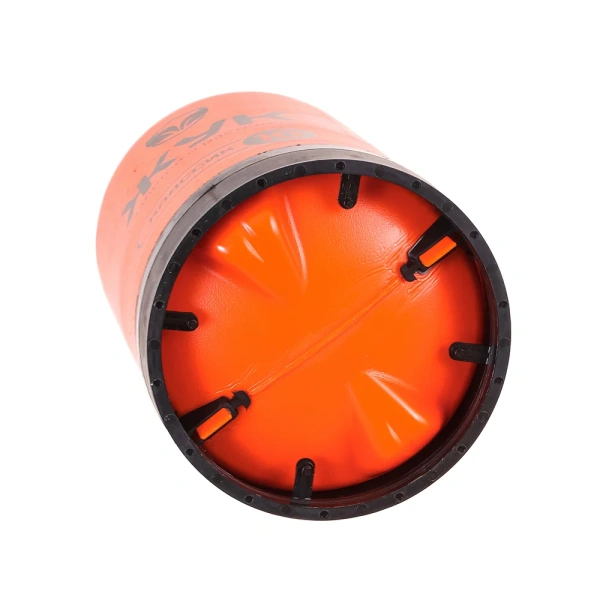 Опрыскиватель пневматический ЖУК Классик 10 л