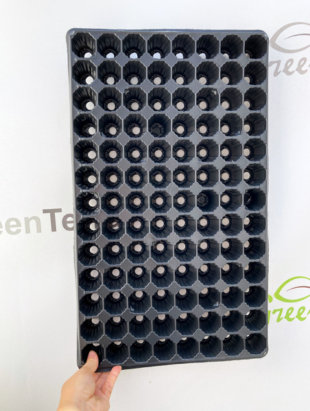 Кассета для рассады, 104 ячейки (31мл)