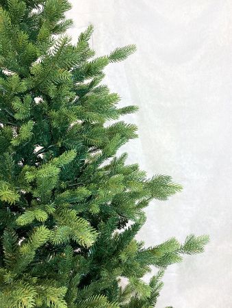 Елка "Ванкувер"