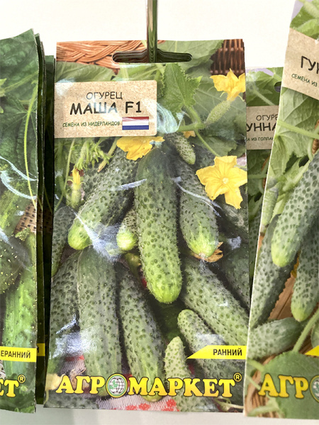 огурец партенокарпический Маша F1