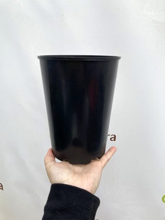 Высокий горшок для роз 2л, ø 14см, высота 18см.