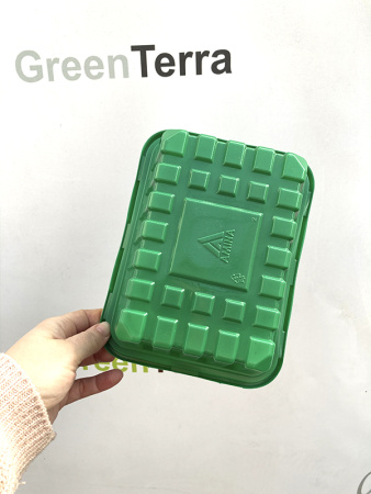 Минипарник с крышкой и кассетой на 6 ячеек