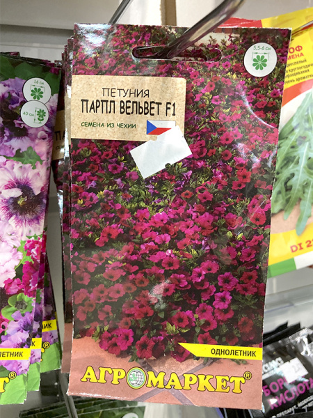 петуния  Парпл Вельвет