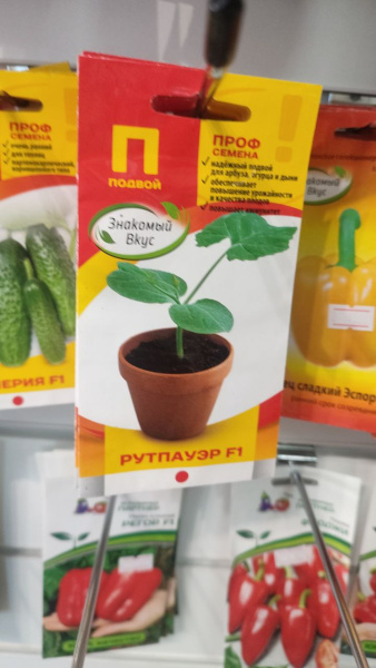 подвой Рутпауэр F1 