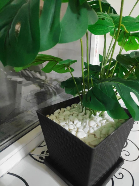 Мрамор галтованный белый фр. 20-40мм (20кг)