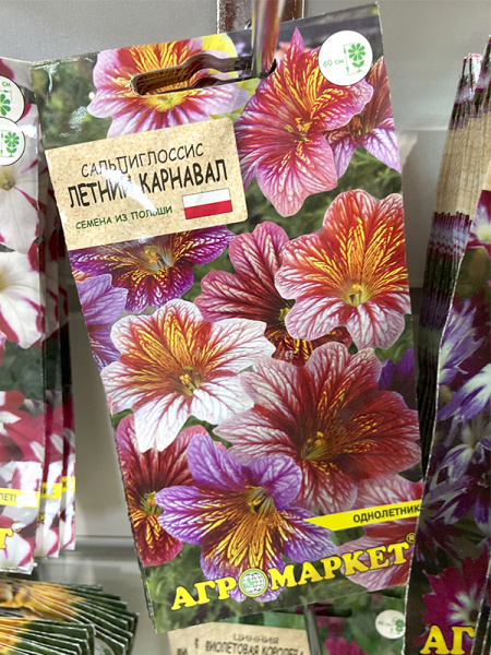 сальпиглоссис Летний карнавал