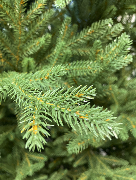 Елка "Синдерелла" 100% РЕ