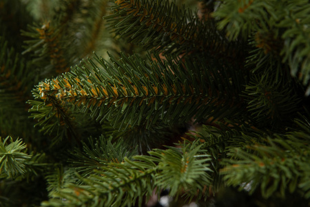 Елка "Аляска" Слим