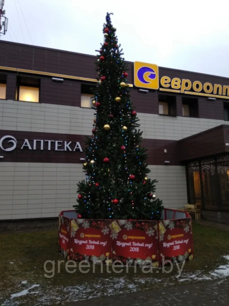 Уличная ствольная ель "Альпийская" Уличная ствольная ель "Альпийская"