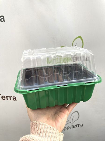 Минипарник с крышкой и кассетой на 6 ячеек