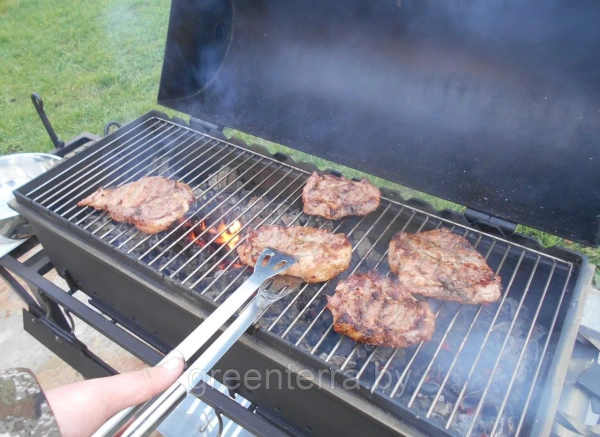 Кованый мангал (гриль, барбекю, коптильня) "Кёльн"