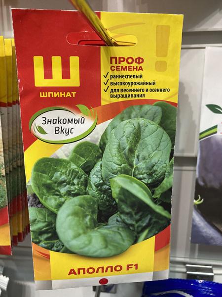 пинат Аполло F1 50шт Sakata