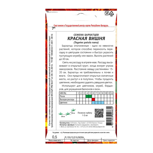 бархатцы Красная вишня