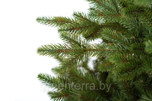 Елка "Аляска" светлая