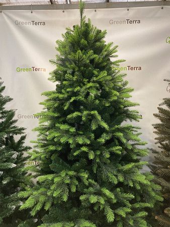 Елка "Кашемир" 