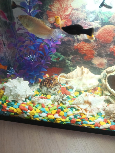 Щебень окрашенный мрамор-гранит микс, 5-10мм