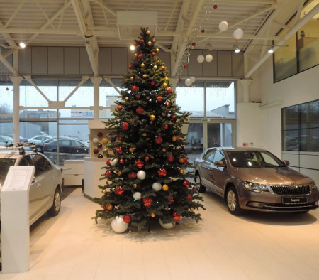 Большая ель ствольная "Эксклюзив Слим"