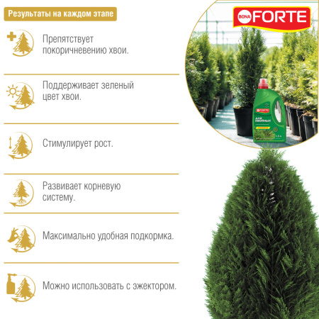 Удобрение пролонгированное Bona Forte "для петуний и клумбовых цветов", серия КРАСОТА, 285 мл