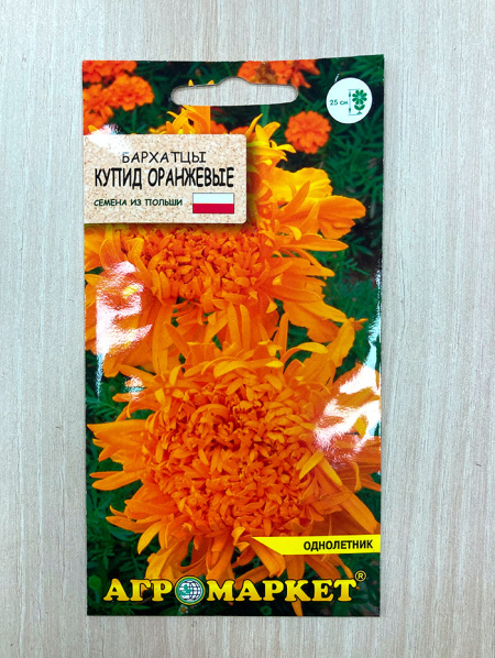 бархатцы Купид оранжевые прямостоячие