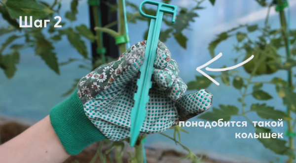 Клипса для крепления растений, уп. 50 шт.