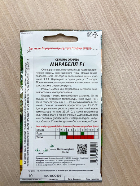 огурец партенокарпический Меренга F1