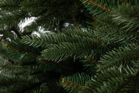 Елка "Калифорния"