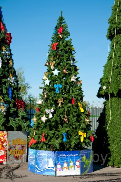 Уличная ствольная ель "Альпийская" Уличная ствольная ель "Альпийская"