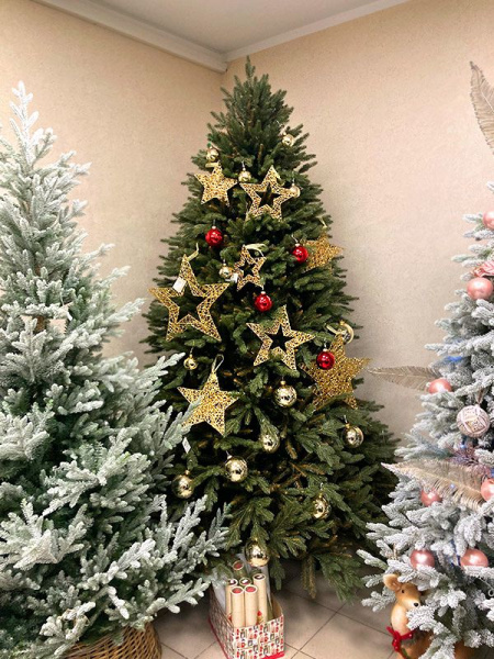 Елка "Непал"