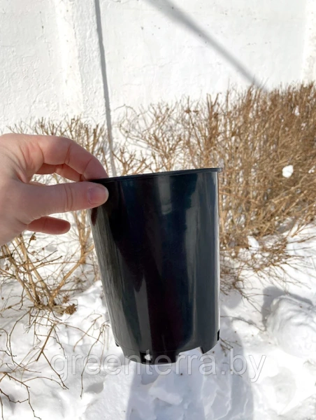 Высокий горшок для роз 1л, ø 11см, высота 13см.