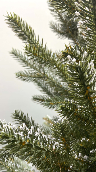 Елка "Квебек"