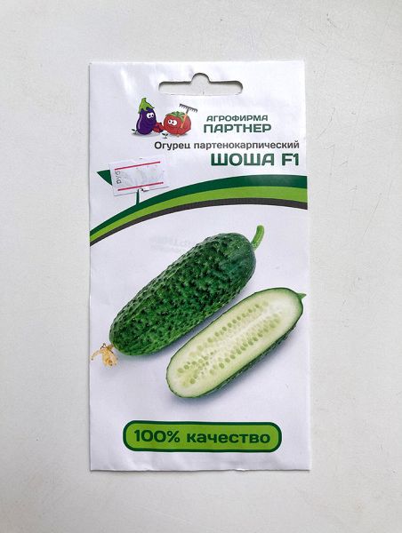 Огурец партенокарпический Шоша F1