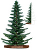 Ель ствольная "Лесная"