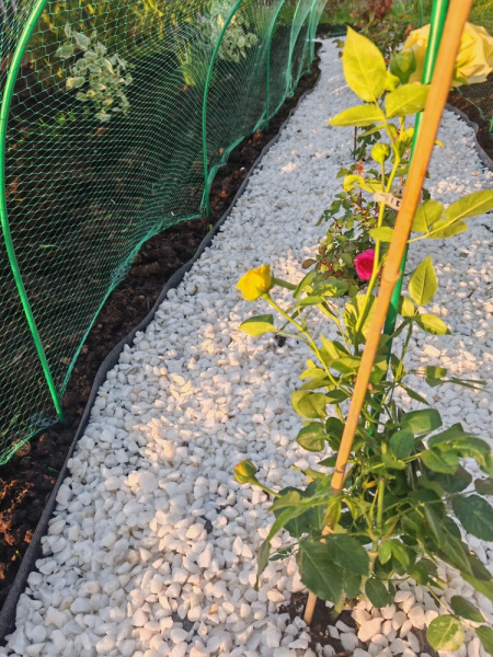 Мрамор галтованный белый фр. 20-40мм (20кг)