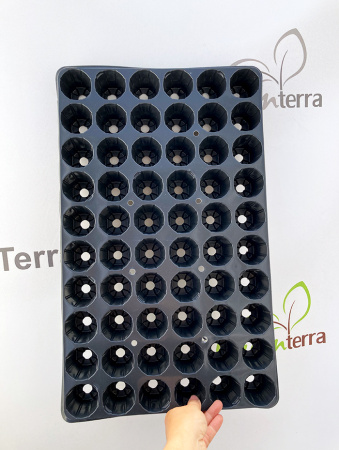 Кассета для рассады, 60 ячеек (70мл)