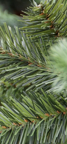 Новогоднее дерево "Сосна" Новогоднее дерево "Сосна"