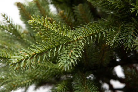 Елка "Аляска" Слим