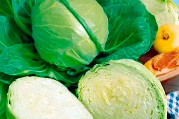 капуста белокочанная Элиза F1