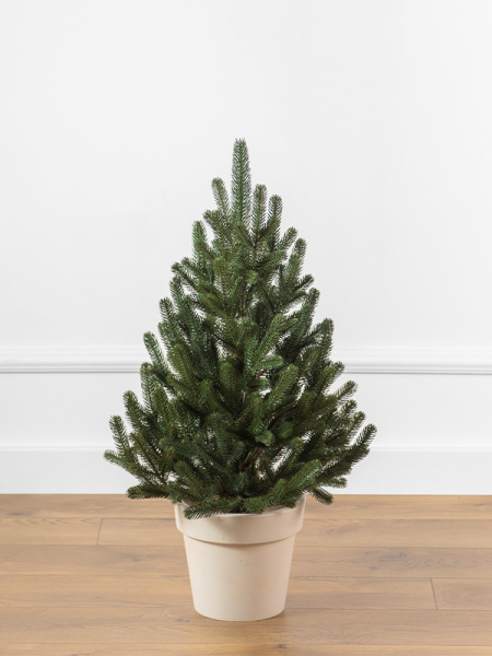 Елка "Элоди" 100% PE, 70см